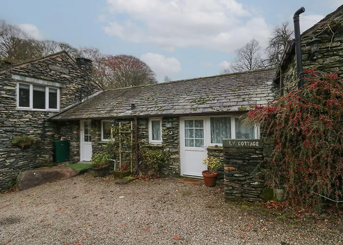 Jock Scar * Κένταλ