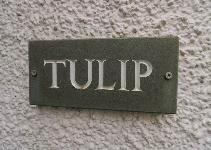 Jock Scar Σπίτι διακοπών *